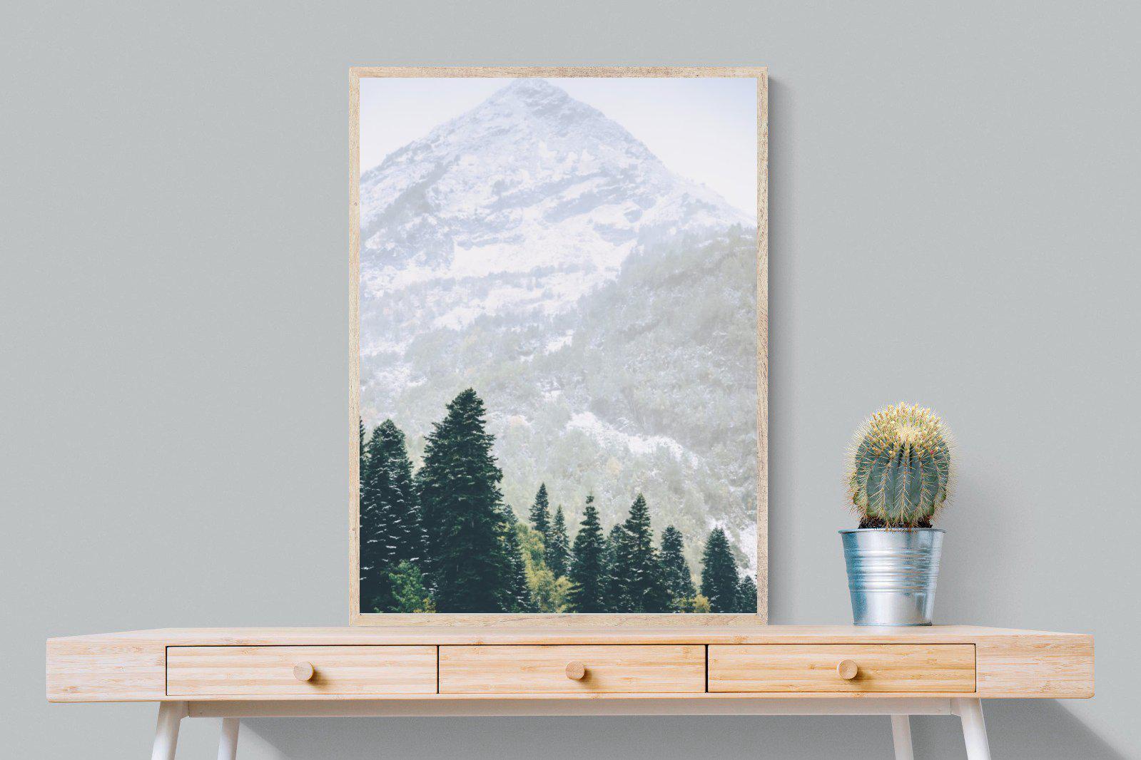 Coniferous Forest-Wall_Art-75 x 100cm-Mounted Canvas-Wood-Pixalot