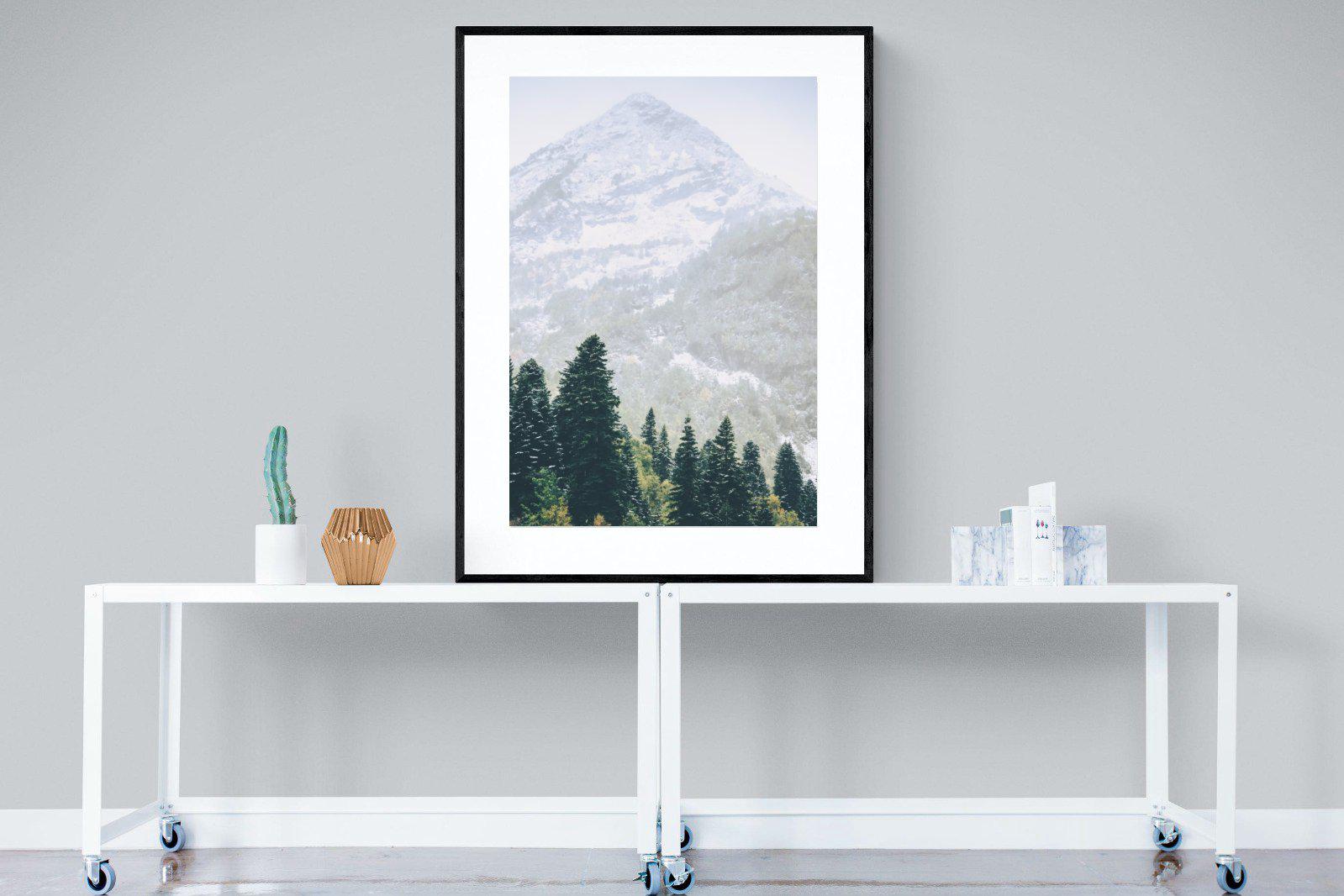 Coniferous Forest-Wall_Art-90 x 120cm-Framed Print-Black-Pixalot