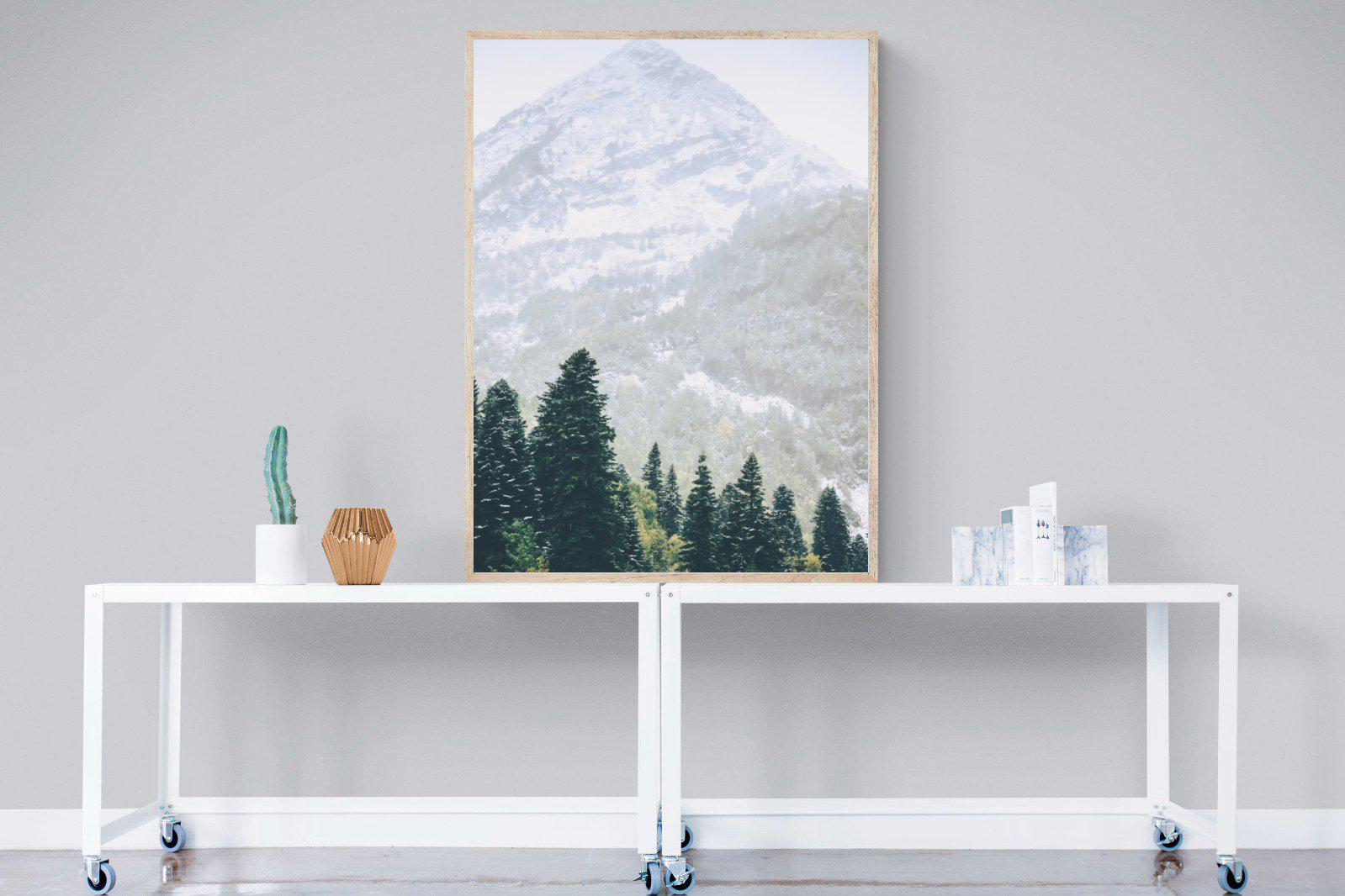 Coniferous Forest-Wall_Art-90 x 120cm-Mounted Canvas-Wood-Pixalot