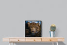 Contempt-Wall_Art-50 x 50cm-Mounted Canvas-Black-Pixalot