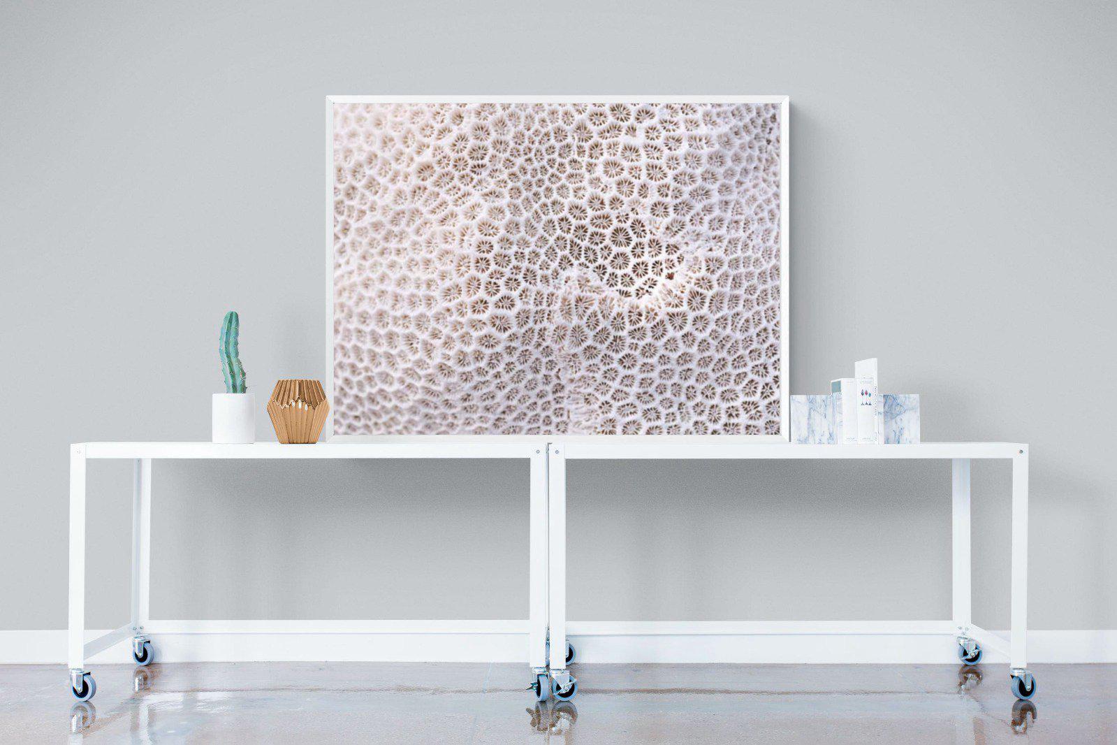 Coral-Wall_Art-120 x 90cm-Mounted Canvas-White-Pixalot
