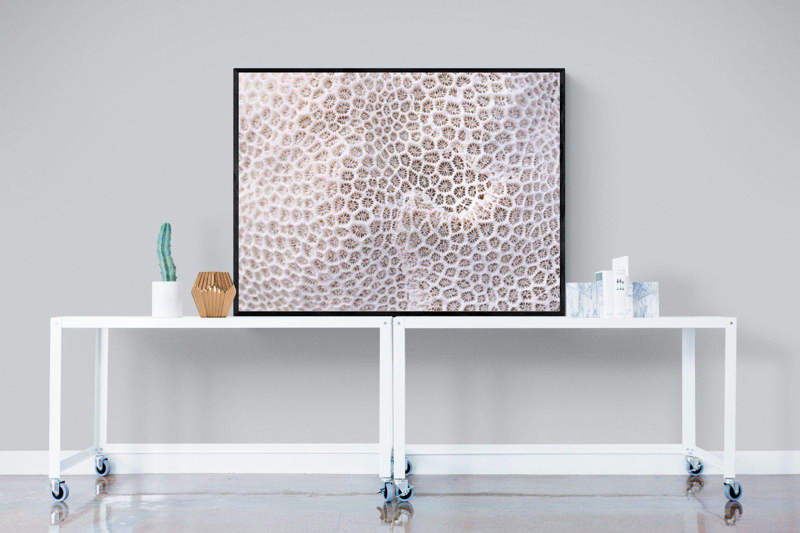 Coral-Wall_Art-120 x 90cm-Mounted Canvas-Black-Pixalot