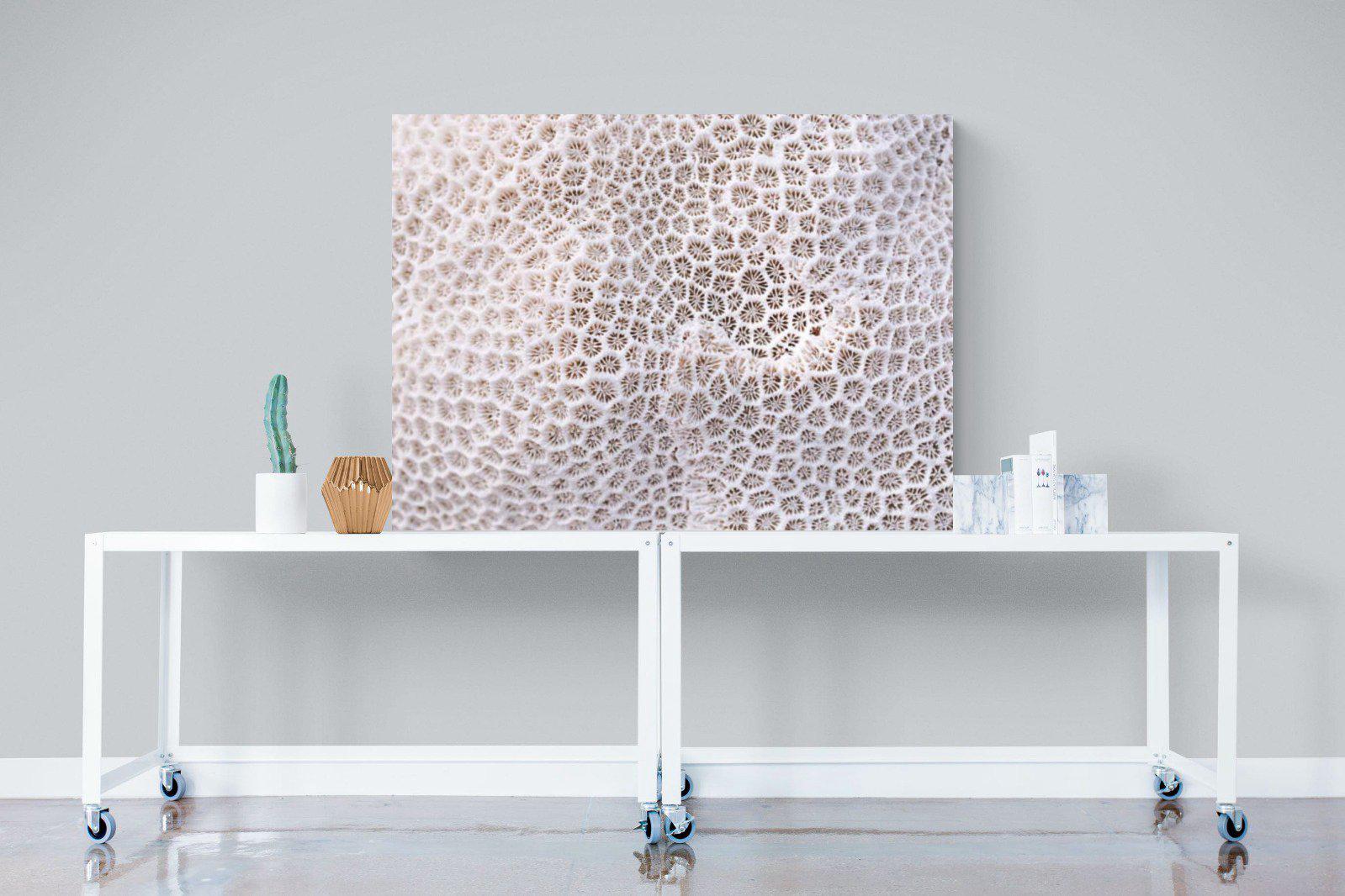 Coral-Wall_Art-120 x 90cm-Mounted Canvas-No Frame-Pixalot