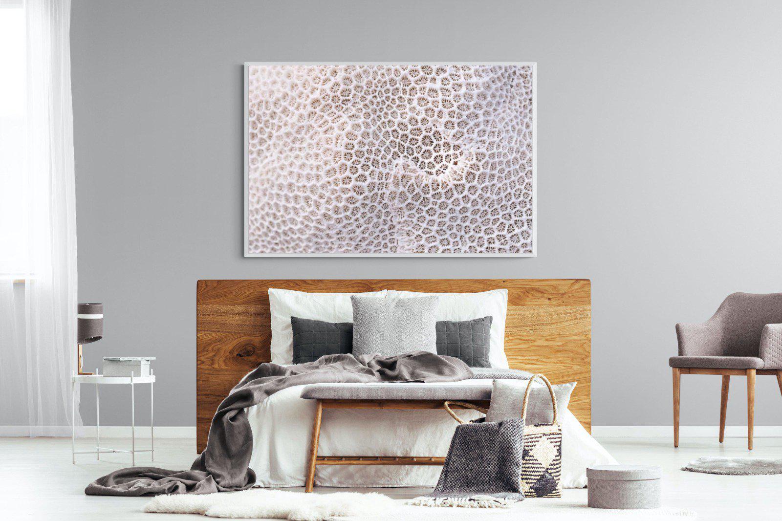 Coral-Wall_Art-150 x 100cm-Mounted Canvas-White-Pixalot