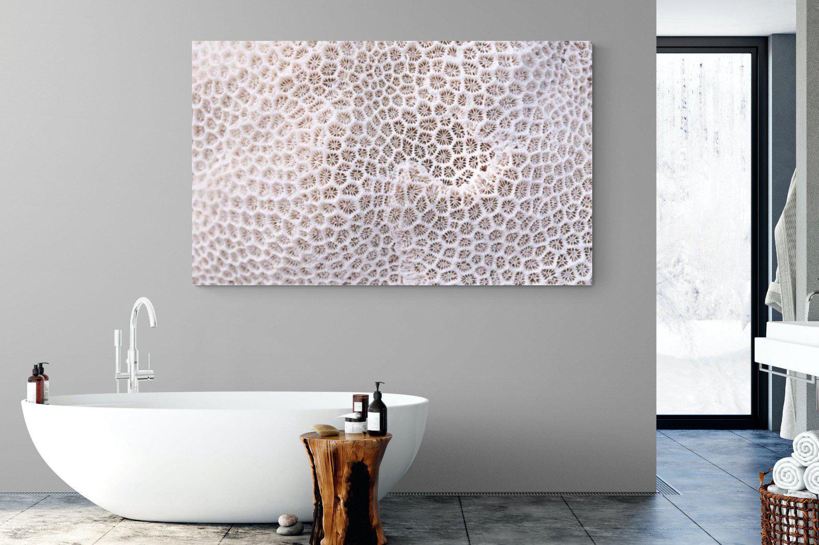 Coral-Wall_Art-180 x 110cm-Mounted Canvas-No Frame-Pixalot