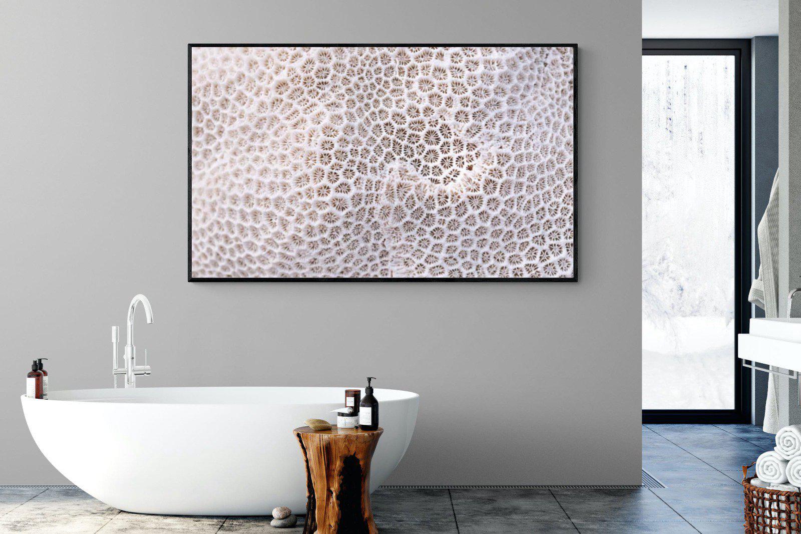 Coral-Wall_Art-180 x 110cm-Mounted Canvas-Black-Pixalot