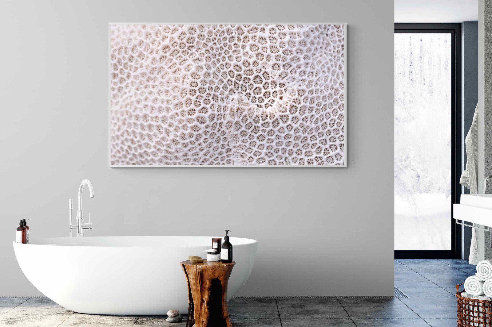Coral-Wall_Art-180 x 110cm-Mounted Canvas-White-Pixalot