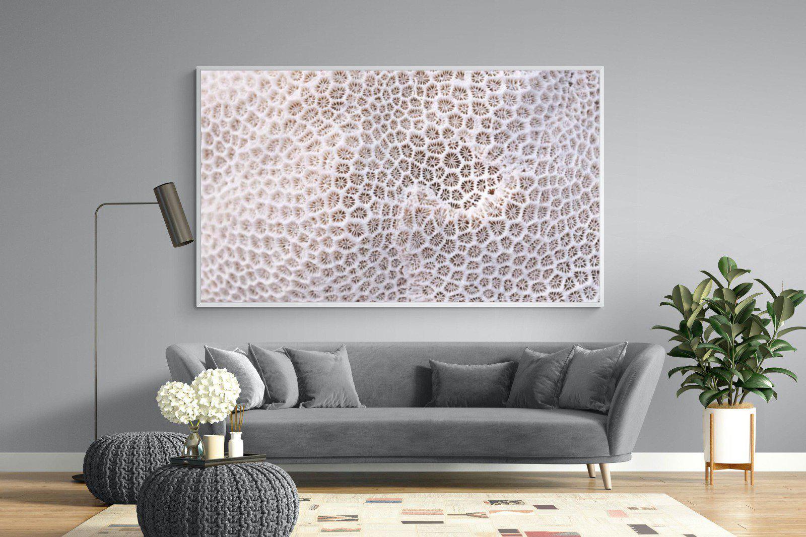 Coral-Wall_Art-220 x 130cm-Mounted Canvas-White-Pixalot