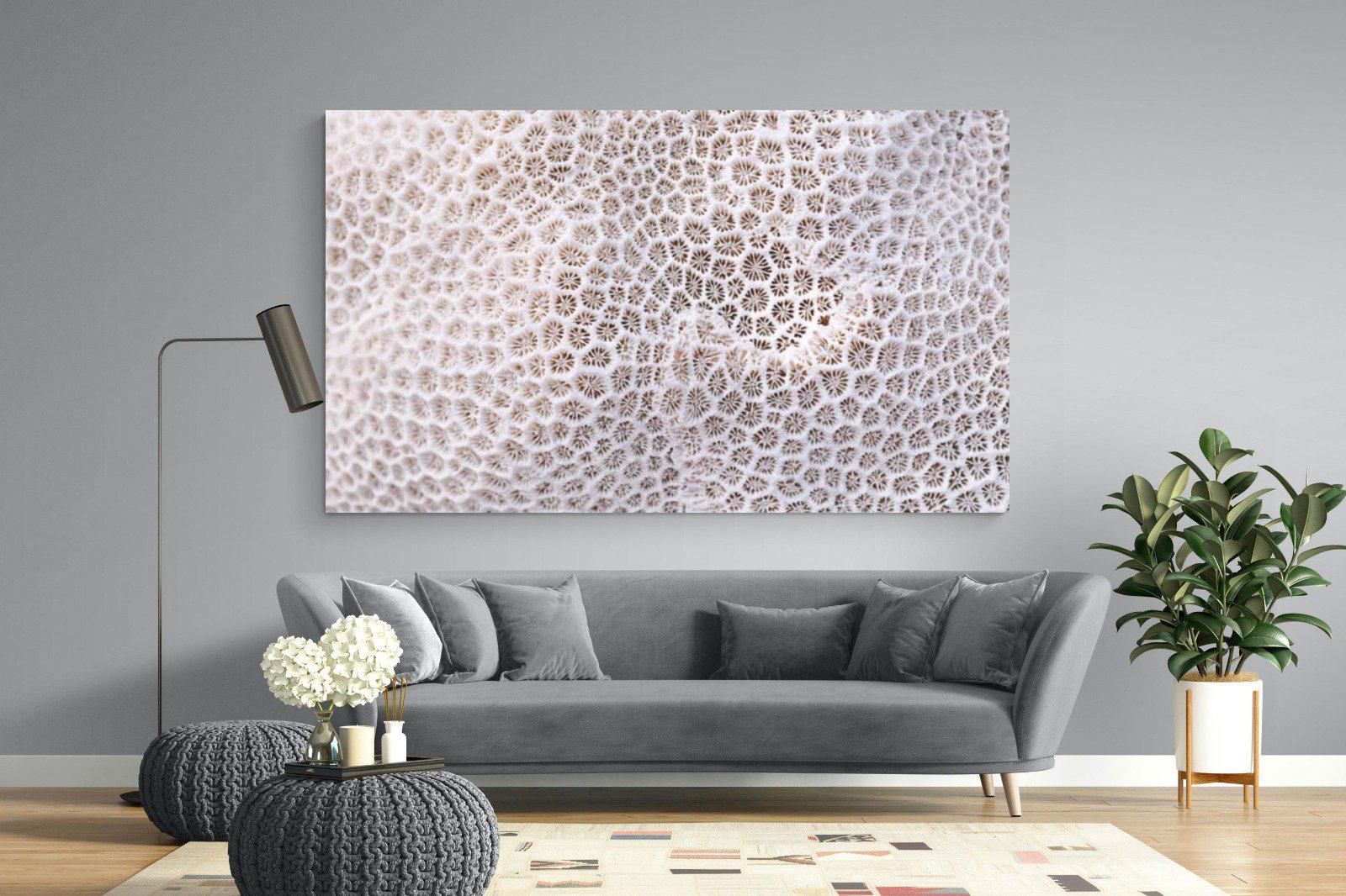 Coral-Wall_Art-220 x 130cm-Mounted Canvas-No Frame-Pixalot