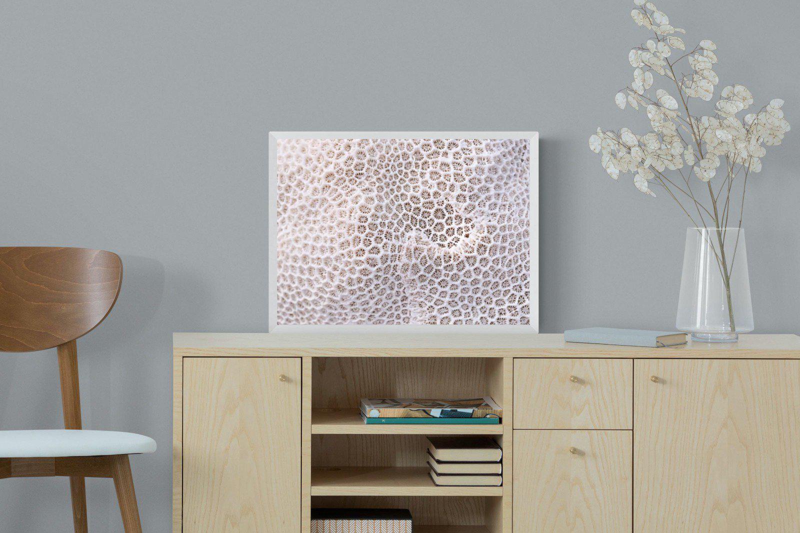 Coral-Wall_Art-60 x 45cm-Mounted Canvas-White-Pixalot