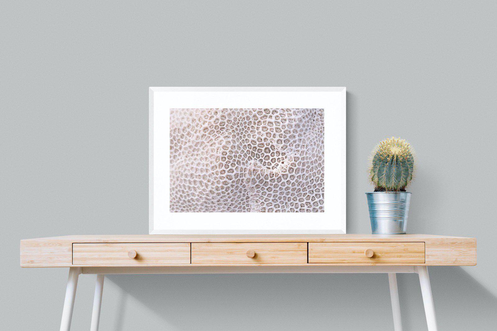Coral-Wall_Art-80 x 60cm-Framed Print-White-Pixalot