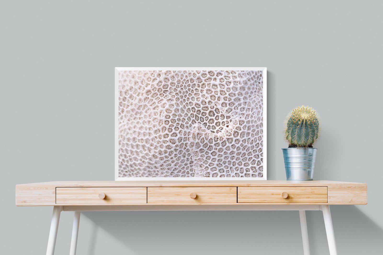 Coral-Wall_Art-80 x 60cm-Mounted Canvas-White-Pixalot