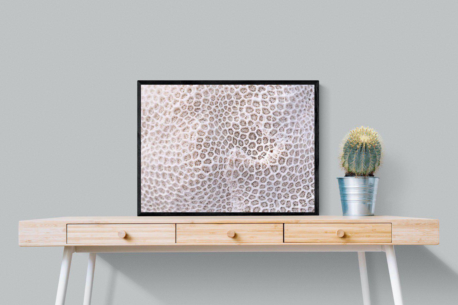 Coral-Wall_Art-80 x 60cm-Mounted Canvas-Black-Pixalot