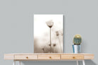 Cosmos-Wall_Art-60 x 80cm-Mounted Canvas-No Frame-Pixalot