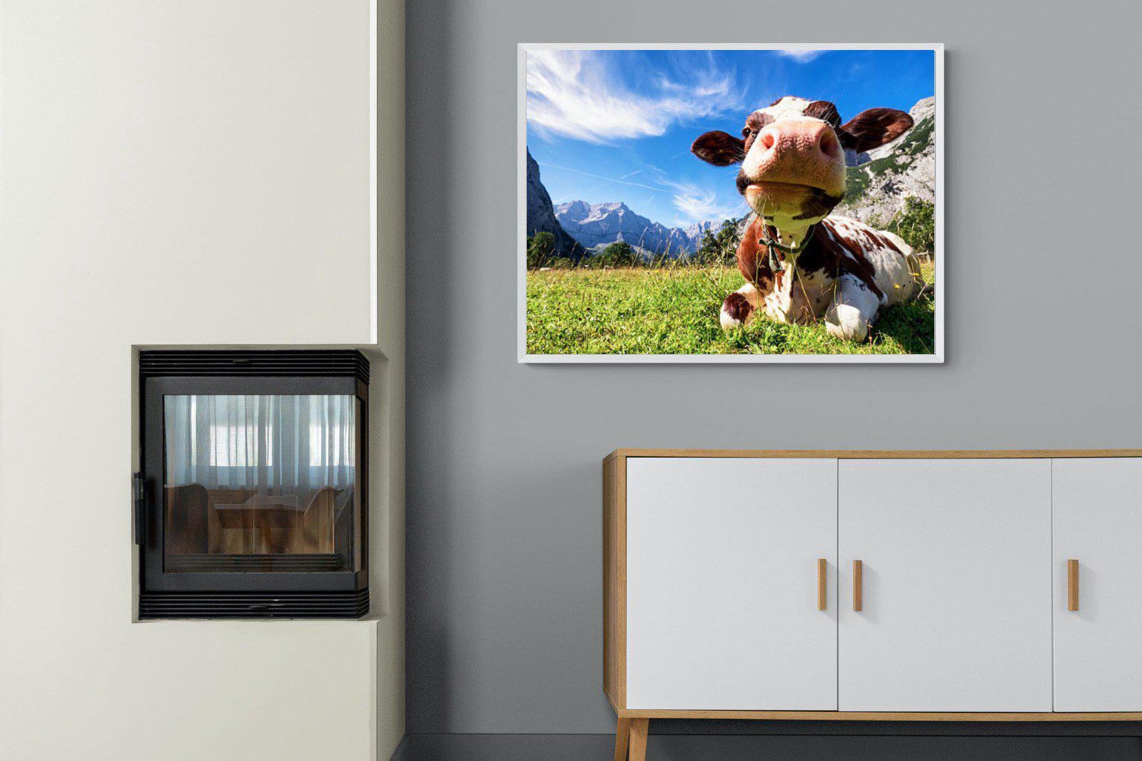 Cow-Wall_Art-100 x 75cm-Mounted Canvas-White-Pixalot