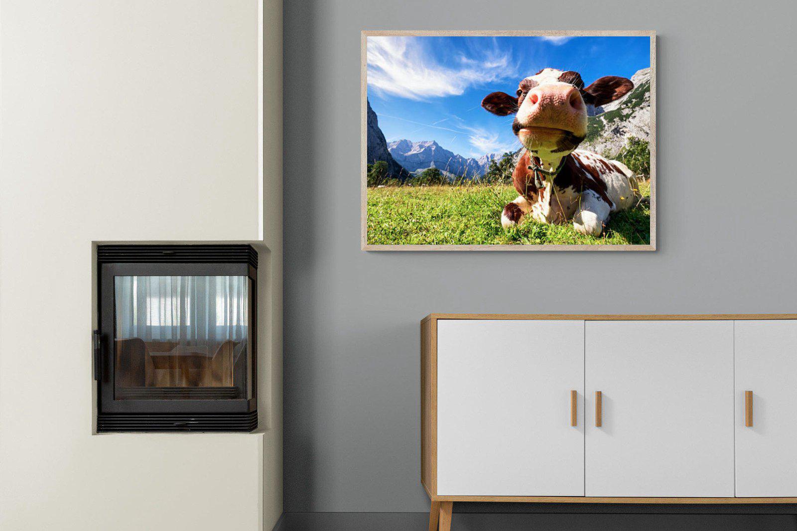 Cow-Wall_Art-100 x 75cm-Mounted Canvas-Wood-Pixalot