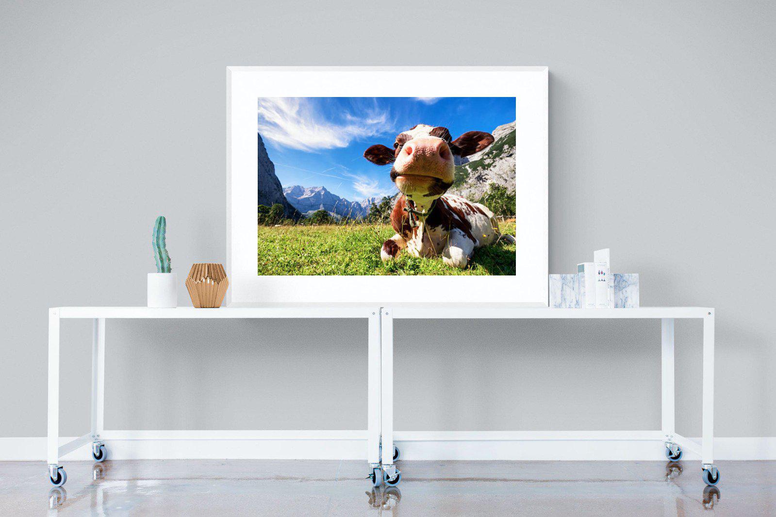 Cow-Wall_Art-120 x 90cm-Framed Print-White-Pixalot