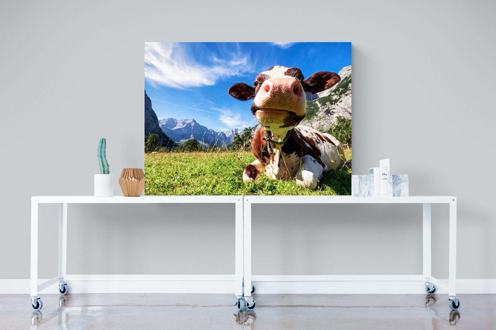 Cow-Wall_Art-120 x 90cm-Mounted Canvas-No Frame-Pixalot