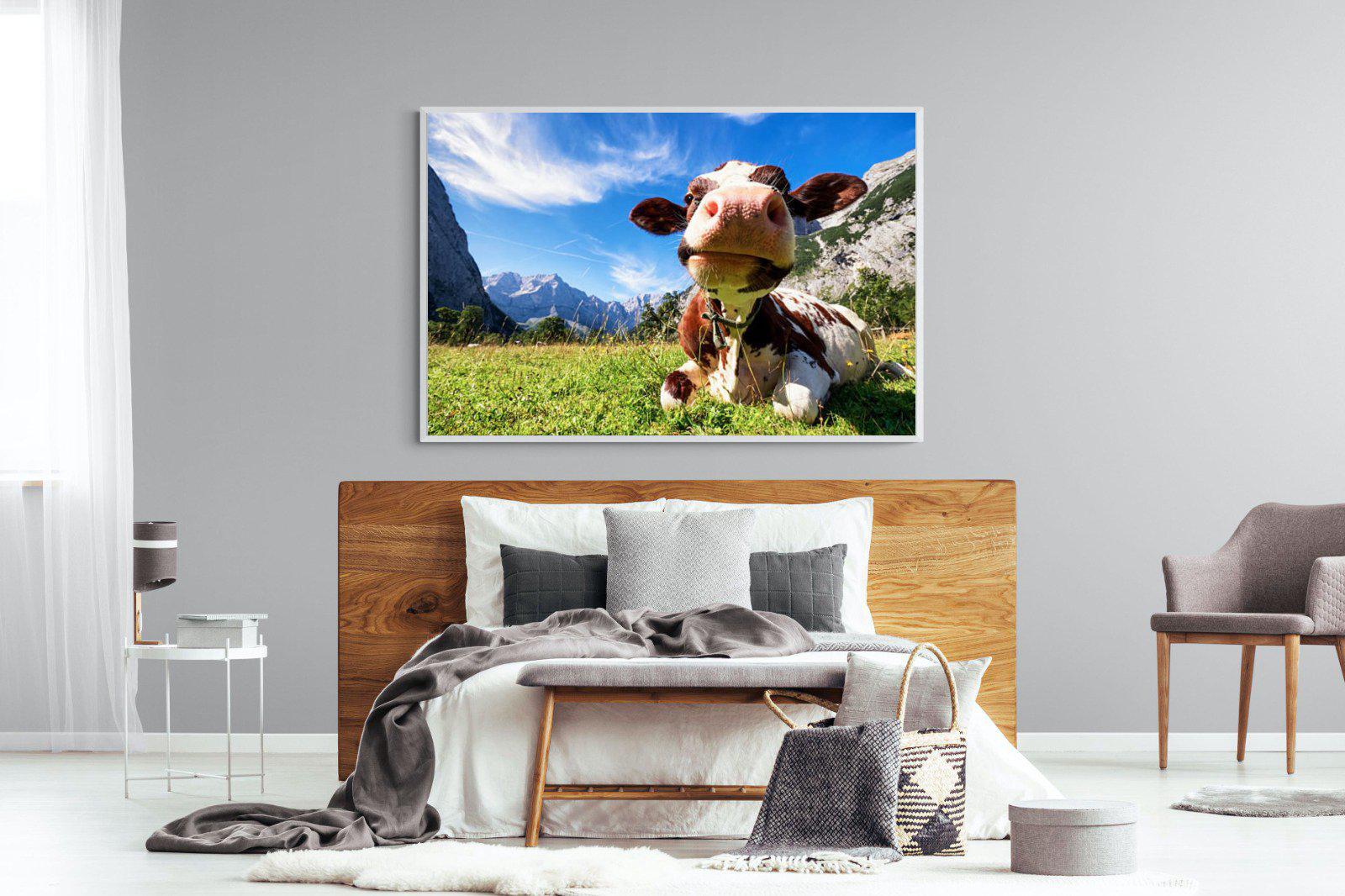 Cow-Wall_Art-150 x 100cm-Mounted Canvas-White-Pixalot