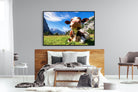 Cow-Wall_Art-150 x 100cm-Mounted Canvas-Black-Pixalot