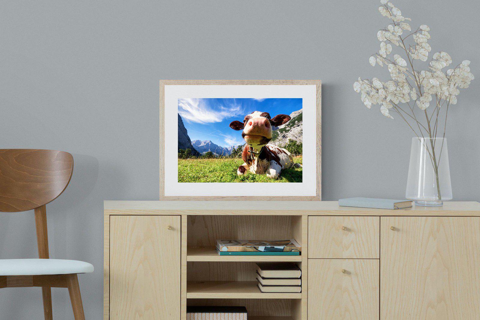 Cow-Wall_Art-60 x 45cm-Framed Print-Wood-Pixalot