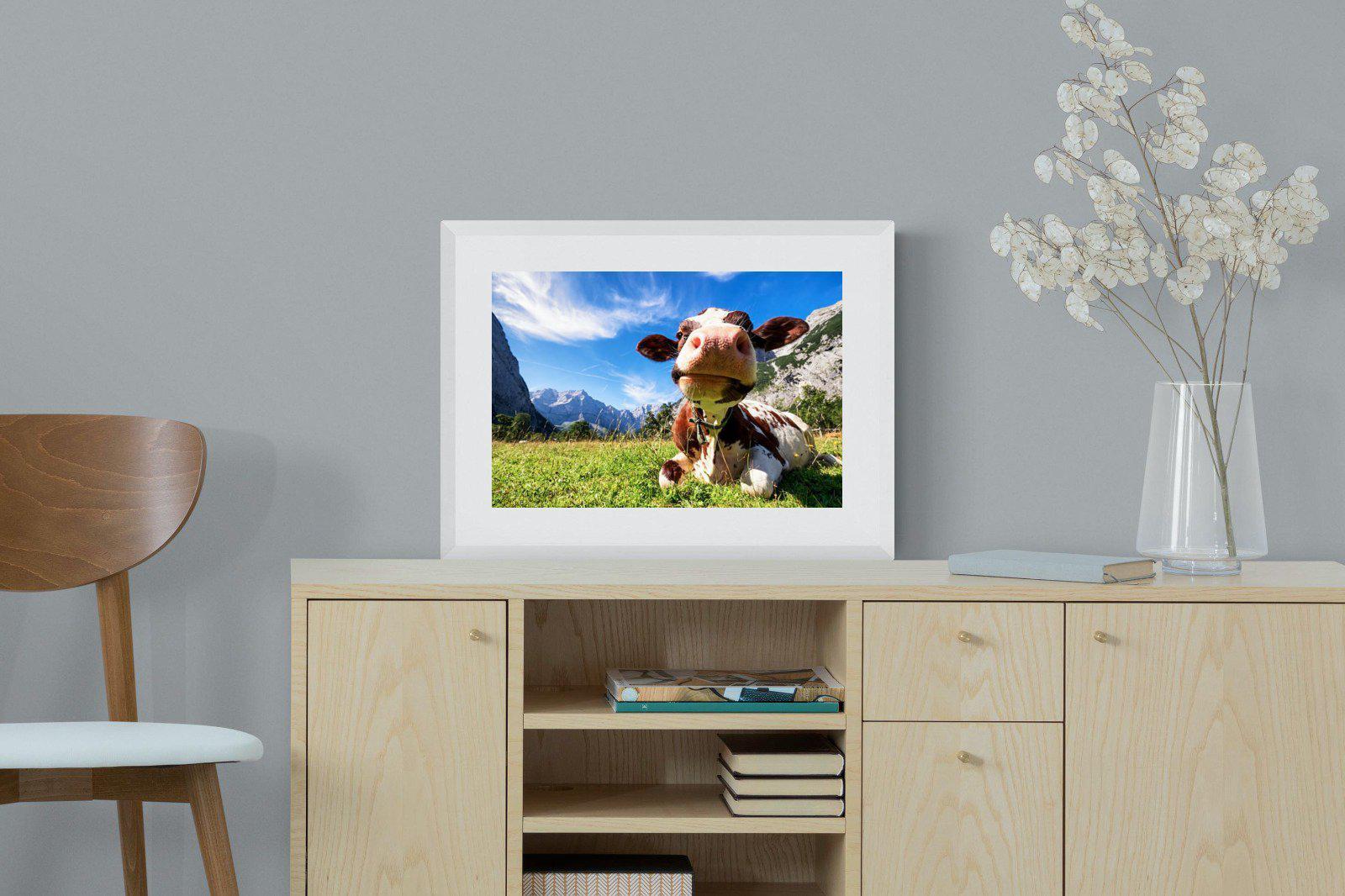 Cow-Wall_Art-60 x 45cm-Framed Print-White-Pixalot