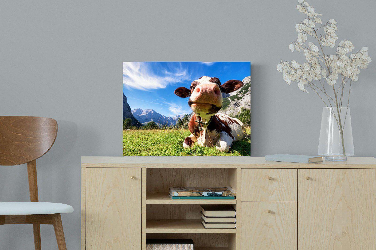 Cow-Wall_Art-60 x 45cm-Mounted Canvas-No Frame-Pixalot