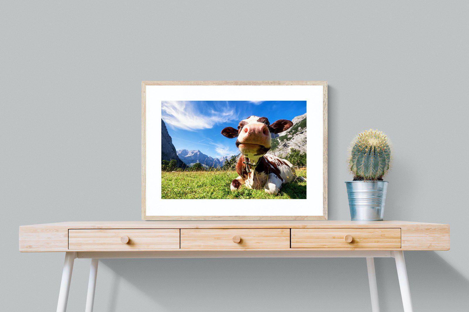 Cow-Wall_Art-80 x 60cm-Framed Print-Wood-Pixalot