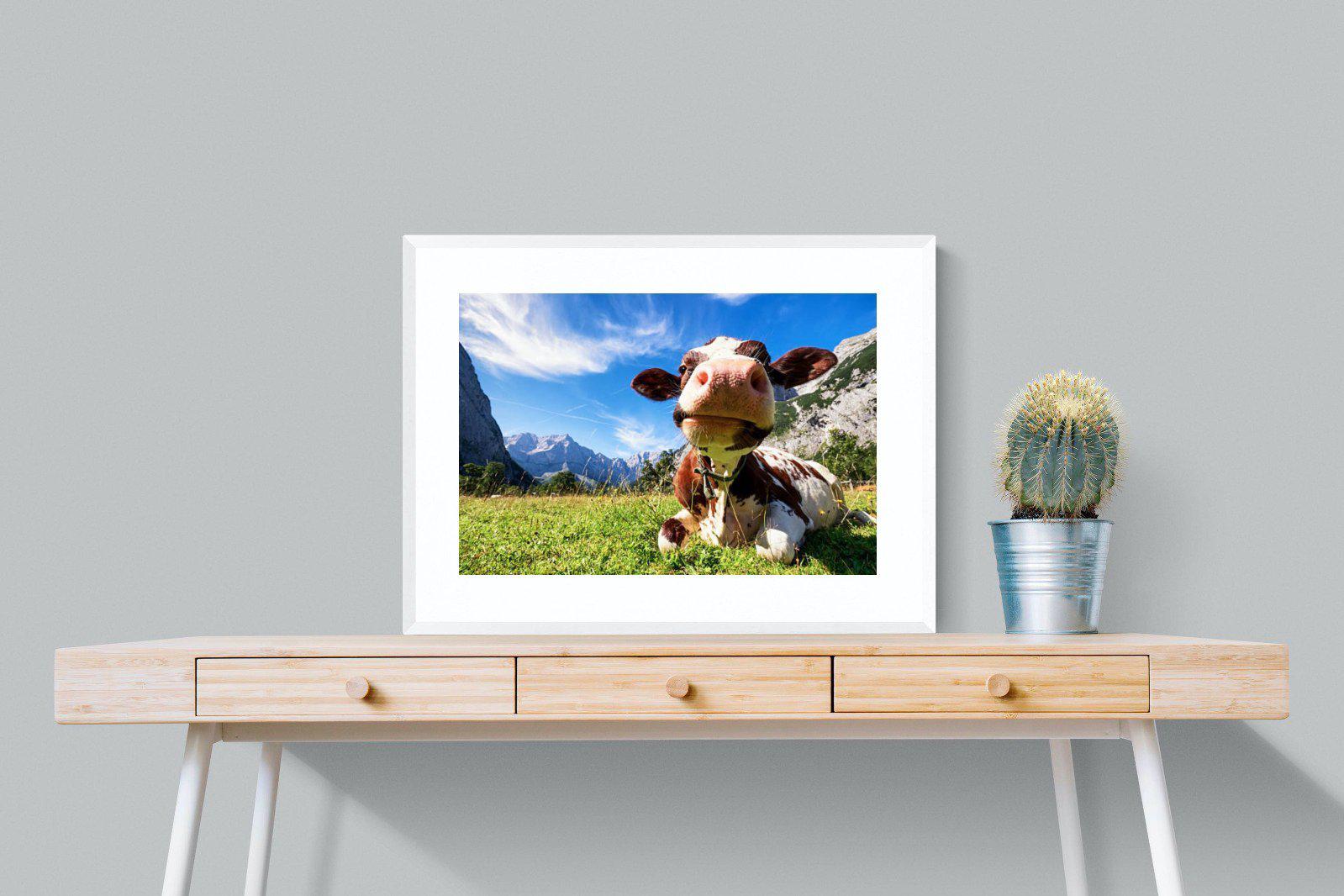 Cow-Wall_Art-80 x 60cm-Framed Print-White-Pixalot