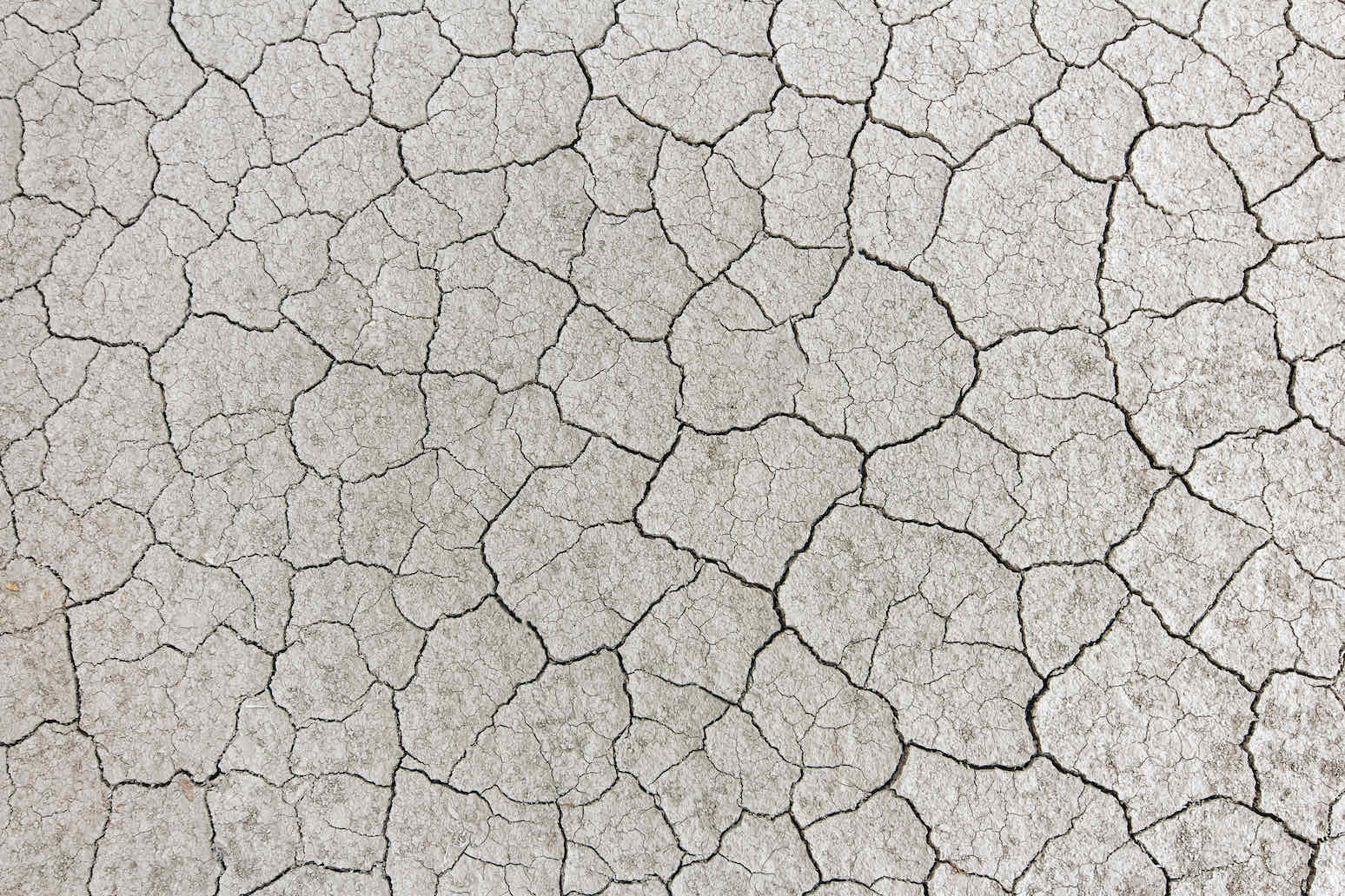 Cracked Clay-Wall_Art-Pixalot