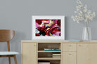 Crimson-Wall_Art-60 x 45cm-Framed Print-White-Pixalot