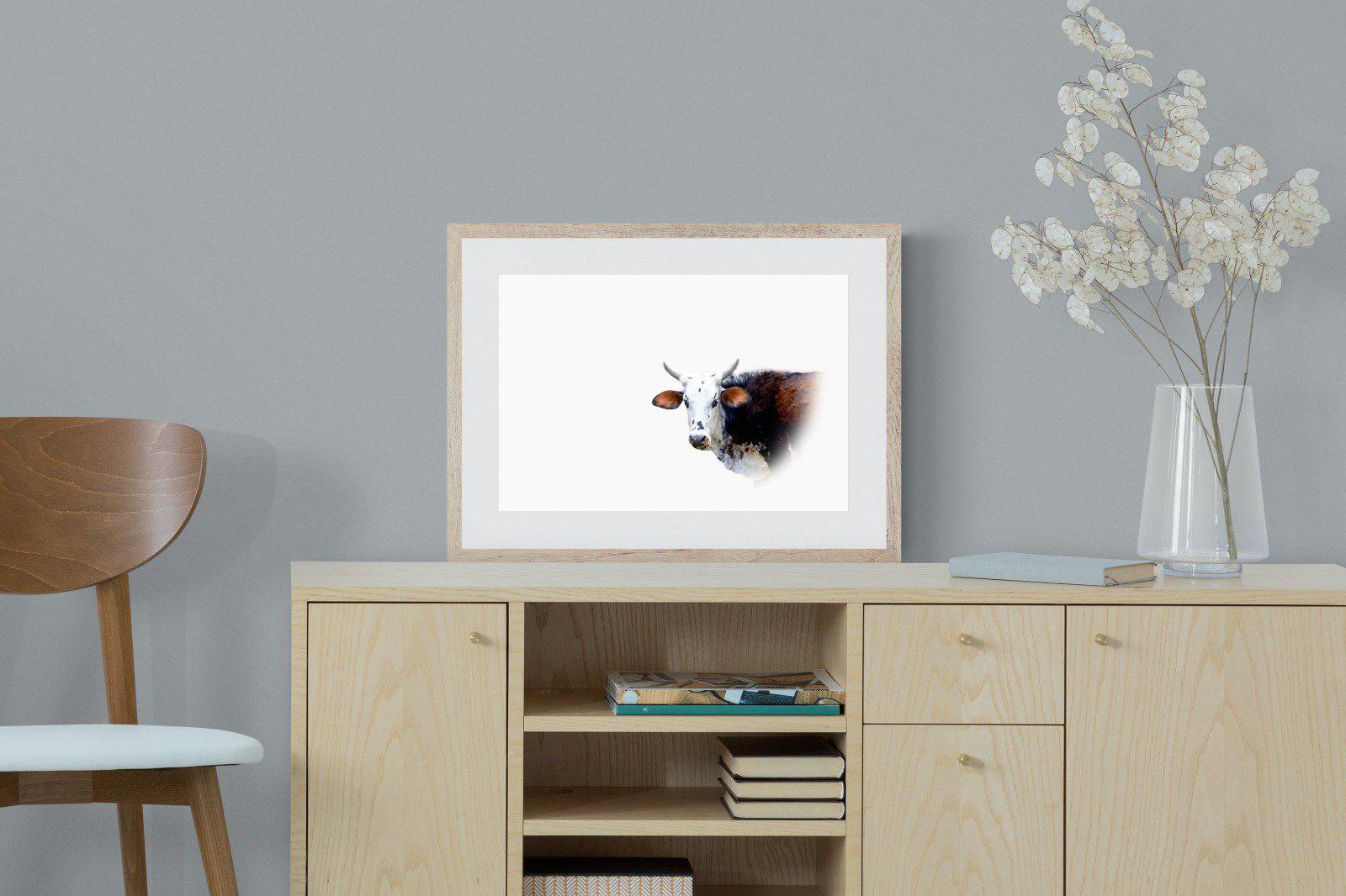 Curious Nguni-Wall_Art-60 x 45cm-Framed Print-Wood-Pixalot