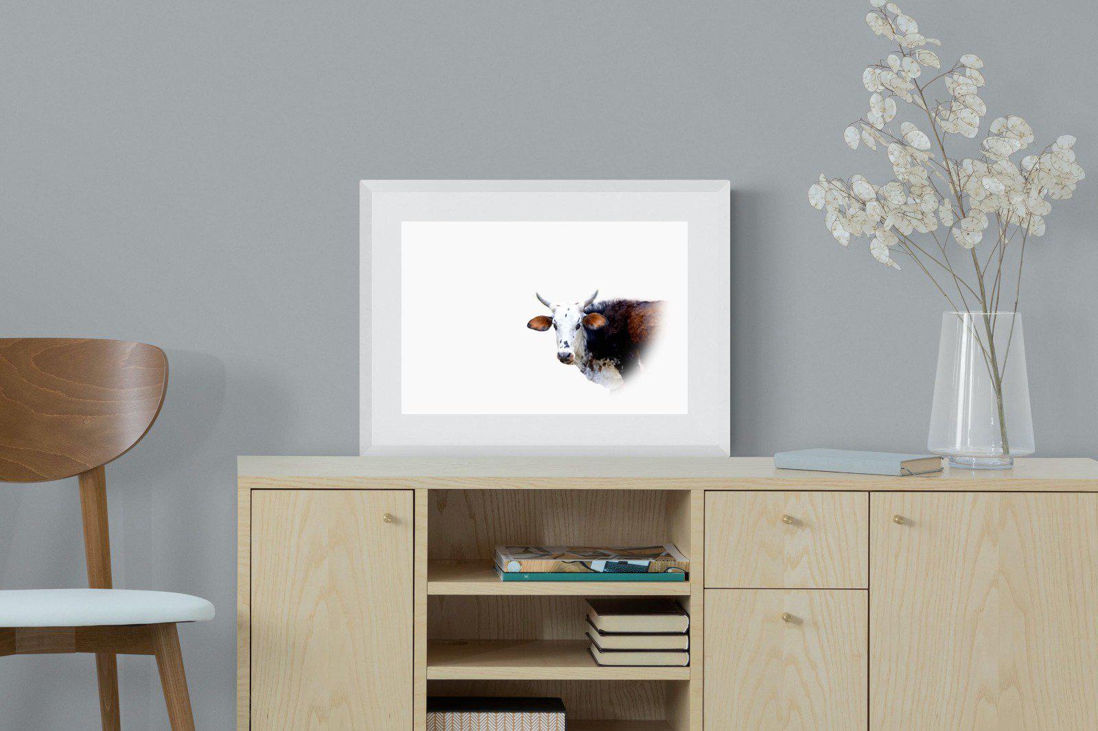 Curious Nguni-Wall_Art-60 x 45cm-Framed Print-White-Pixalot