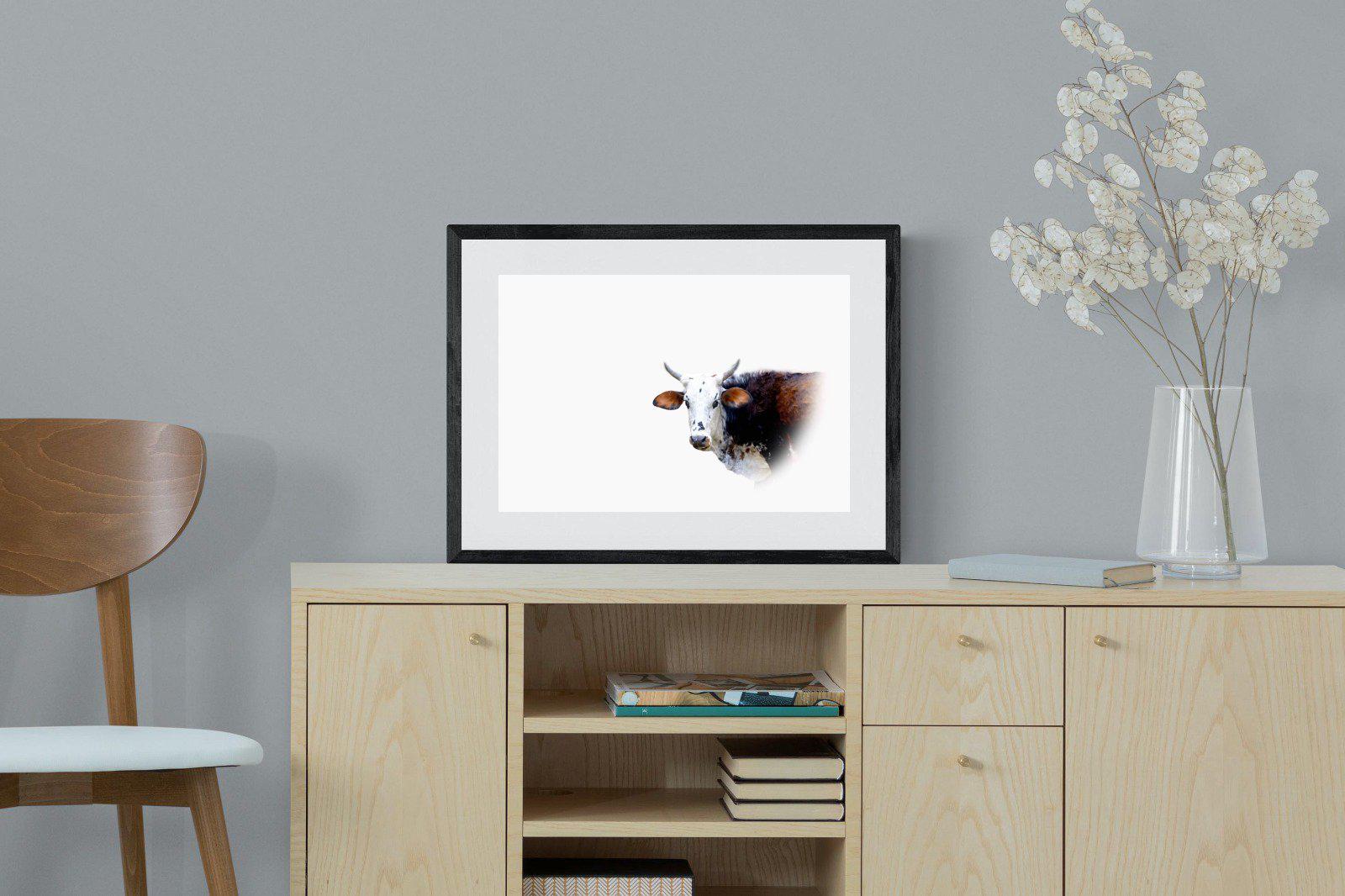 Curious Nguni-Wall_Art-60 x 45cm-Framed Print-Black-Pixalot