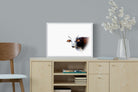 Curious Nguni-Wall_Art-60 x 45cm-Mounted Canvas-White-Pixalot