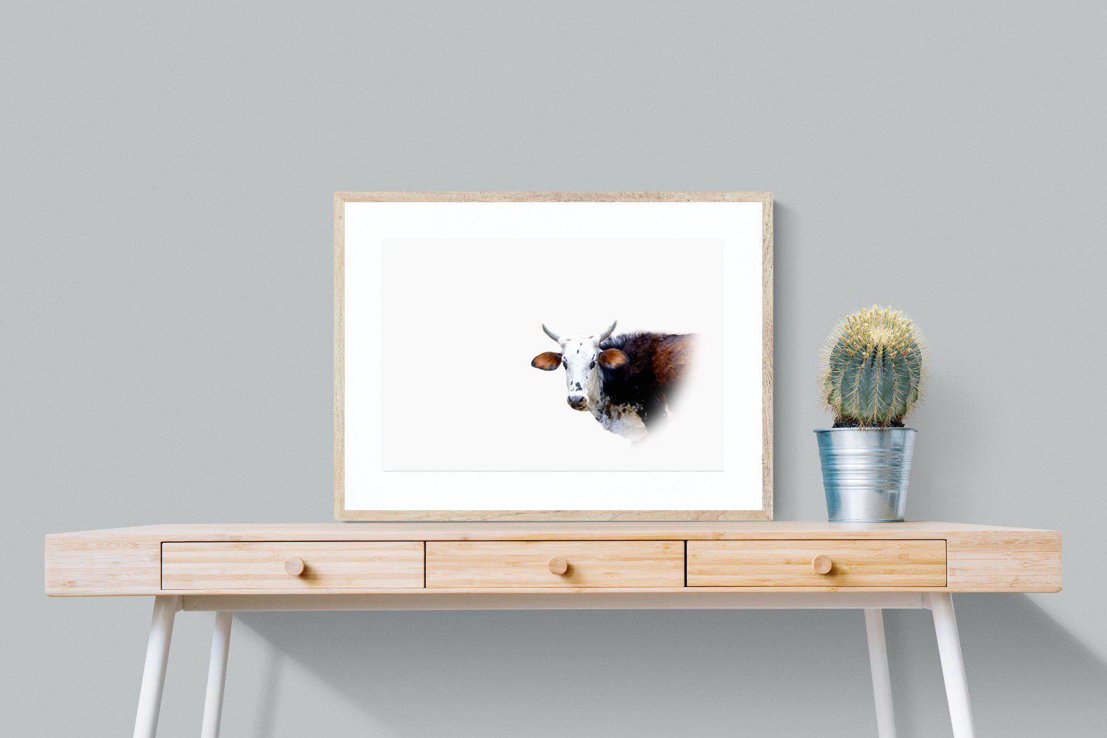 Curious Nguni-Wall_Art-80 x 60cm-Framed Print-Wood-Pixalot