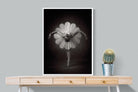 Curtsy-Wall_Art-75 x 100cm-Mounted Canvas-White-Pixalot
