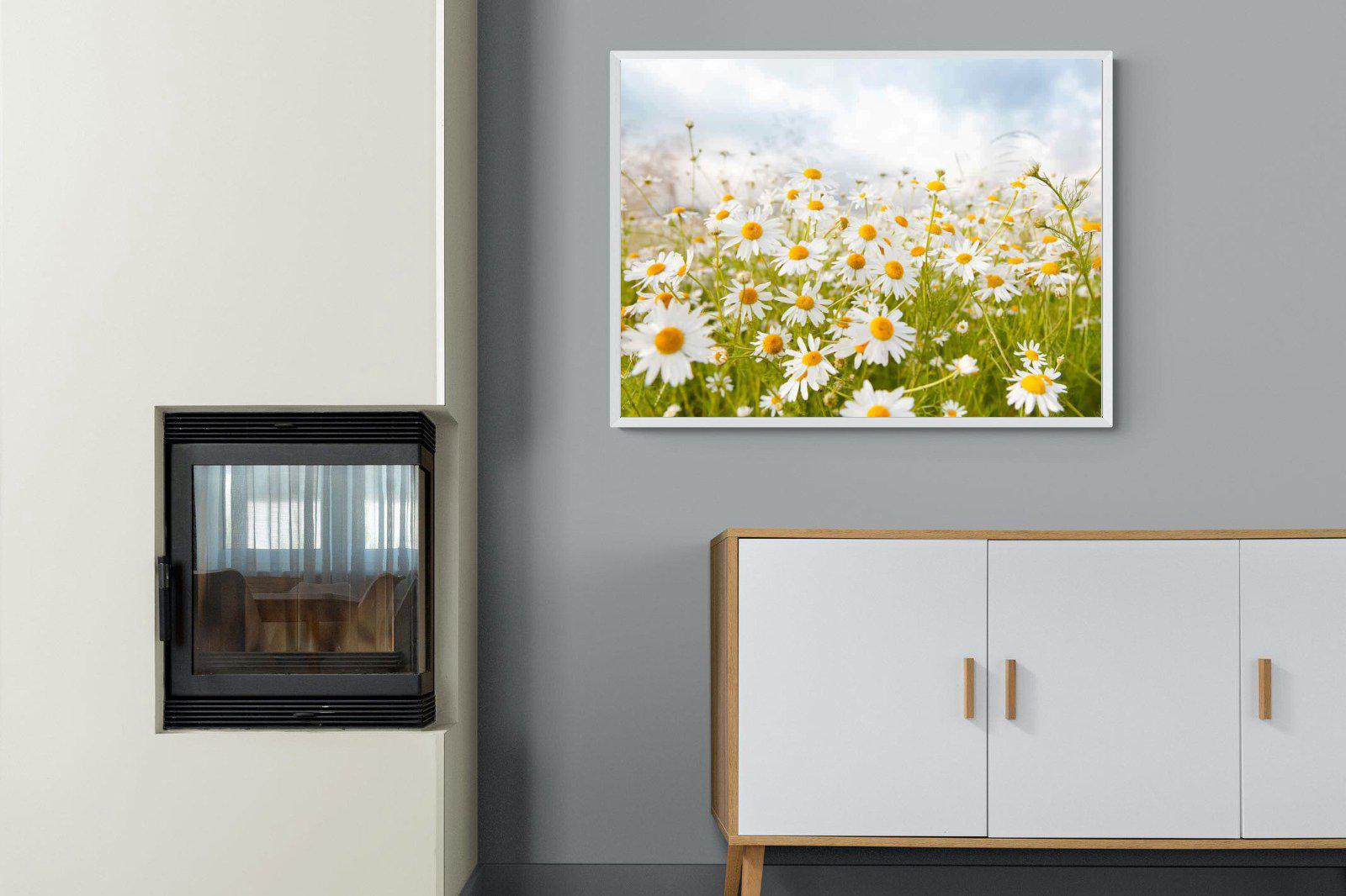 Daisies-Wall_Art-100 x 75cm-Mounted Canvas-White-Pixalot