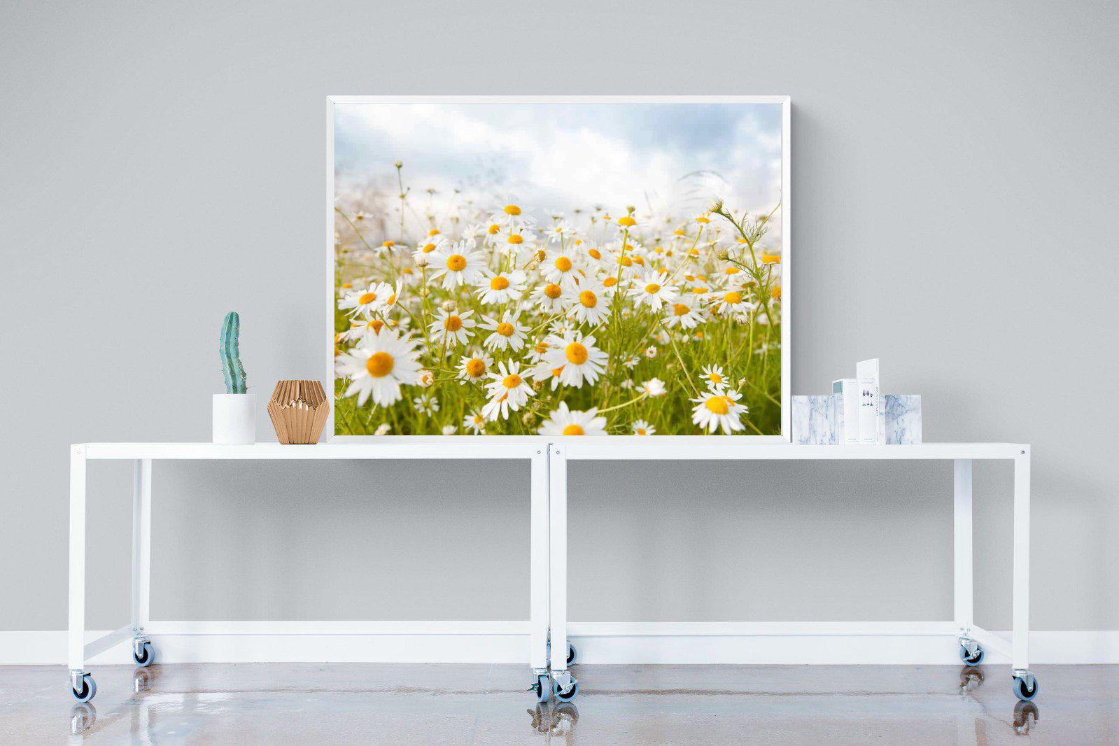 Daisies-Wall_Art-120 x 90cm-Mounted Canvas-White-Pixalot