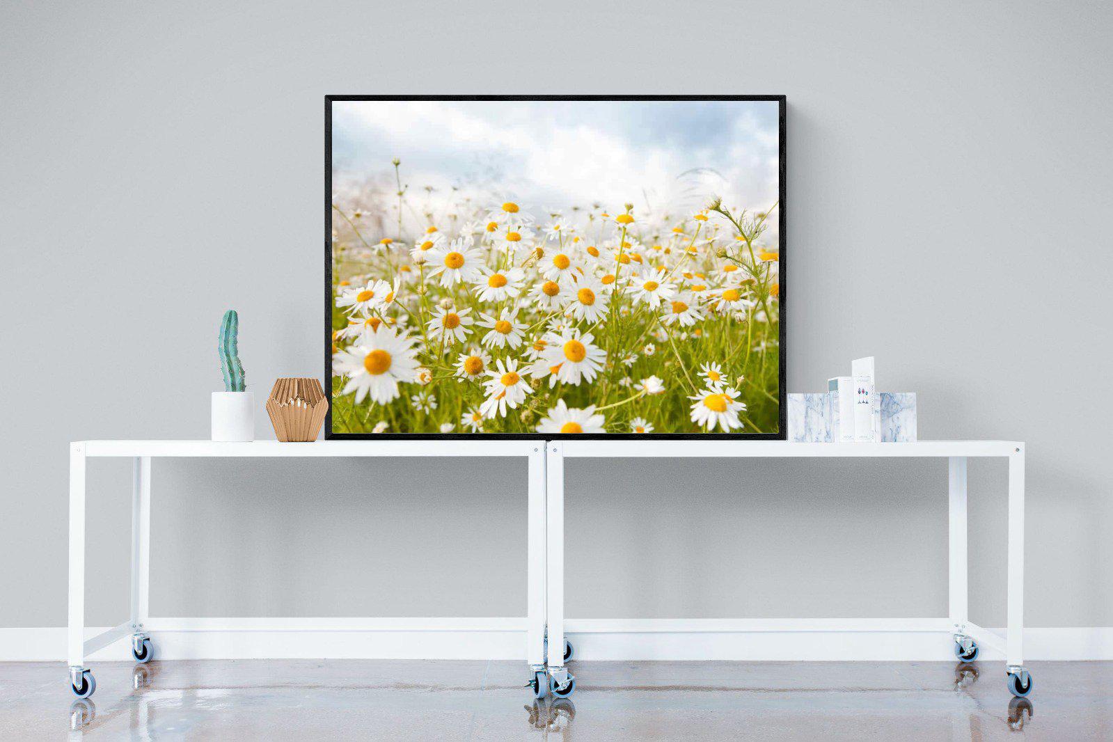Daisies-Wall_Art-120 x 90cm-Mounted Canvas-Black-Pixalot