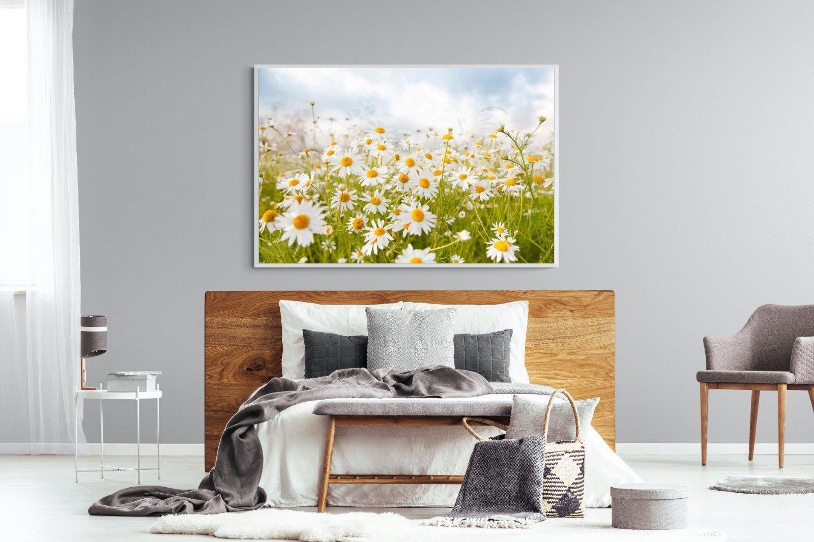 Daisies-Wall_Art-150 x 100cm-Mounted Canvas-White-Pixalot