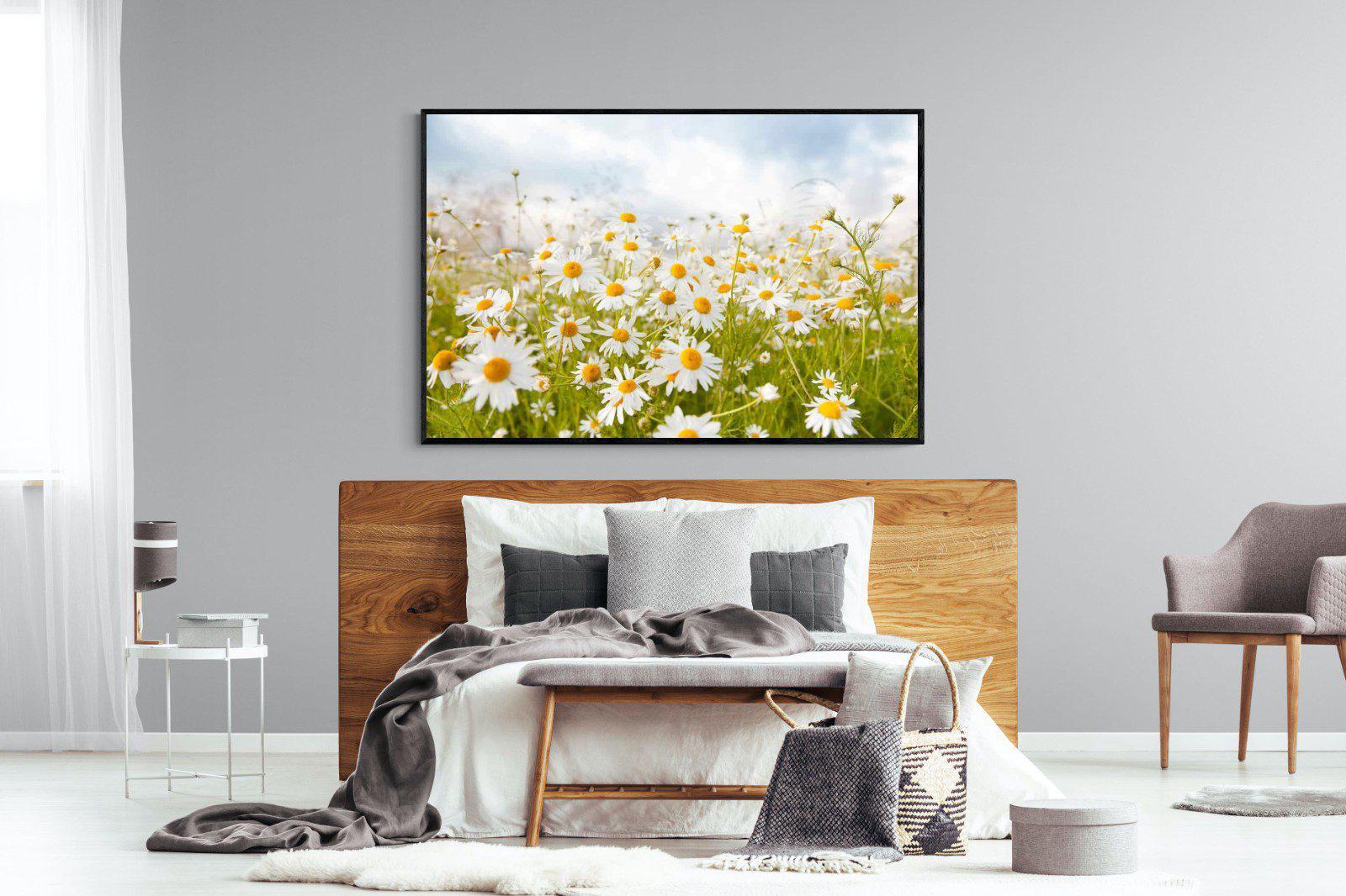Daisies-Wall_Art-150 x 100cm-Mounted Canvas-Black-Pixalot