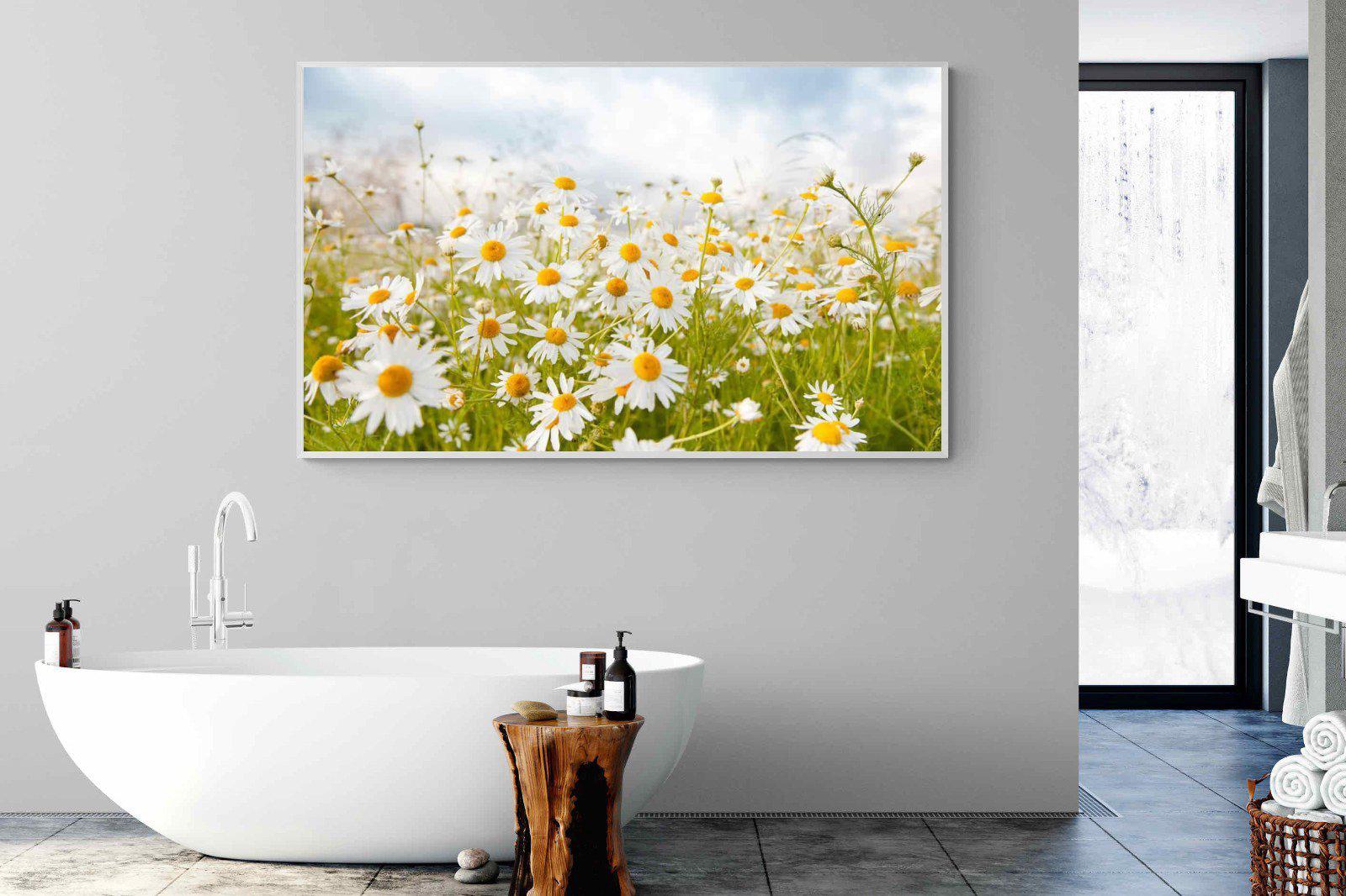 Daisies-Wall_Art-180 x 110cm-Mounted Canvas-White-Pixalot