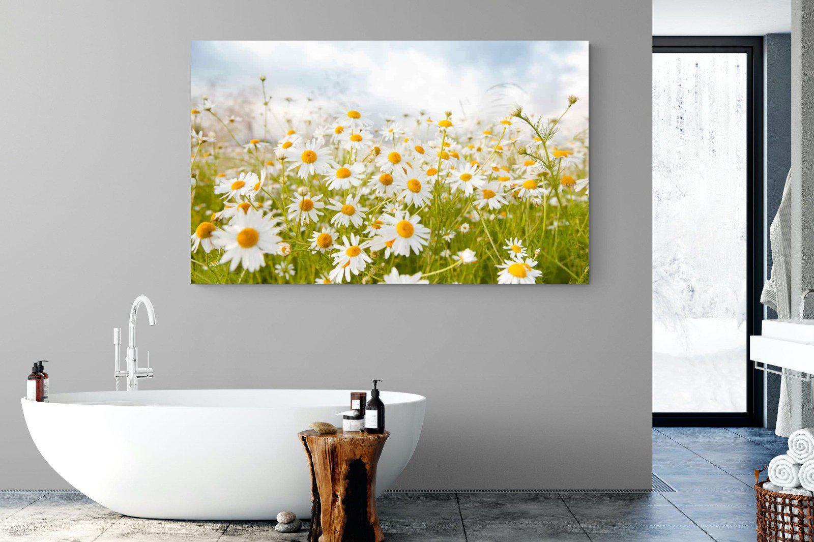 Daisies-Wall_Art-180 x 110cm-Mounted Canvas-No Frame-Pixalot
