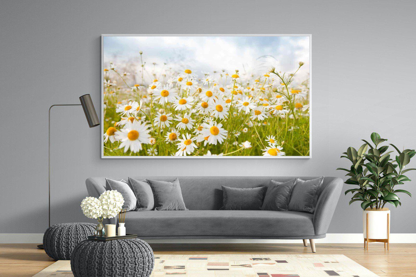 Daisies-Wall_Art-220 x 130cm-Mounted Canvas-White-Pixalot