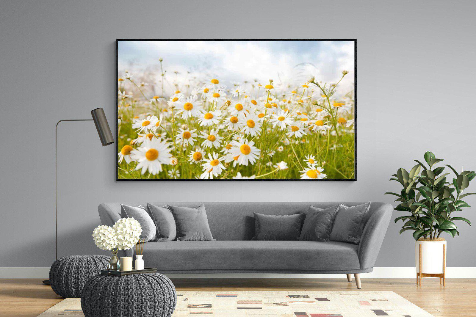 Daisies-Wall_Art-220 x 130cm-Mounted Canvas-Black-Pixalot