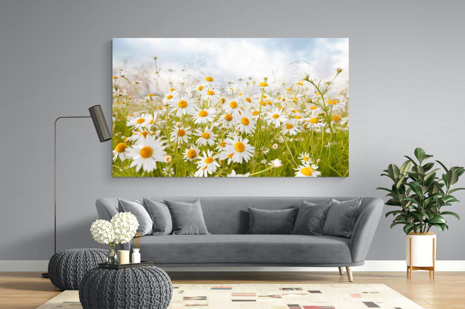 Daisies-Wall_Art-220 x 130cm-Mounted Canvas-No Frame-Pixalot