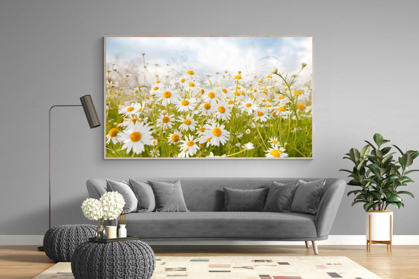 Daisies-Wall_Art-220 x 130cm-Mounted Canvas-Wood-Pixalot