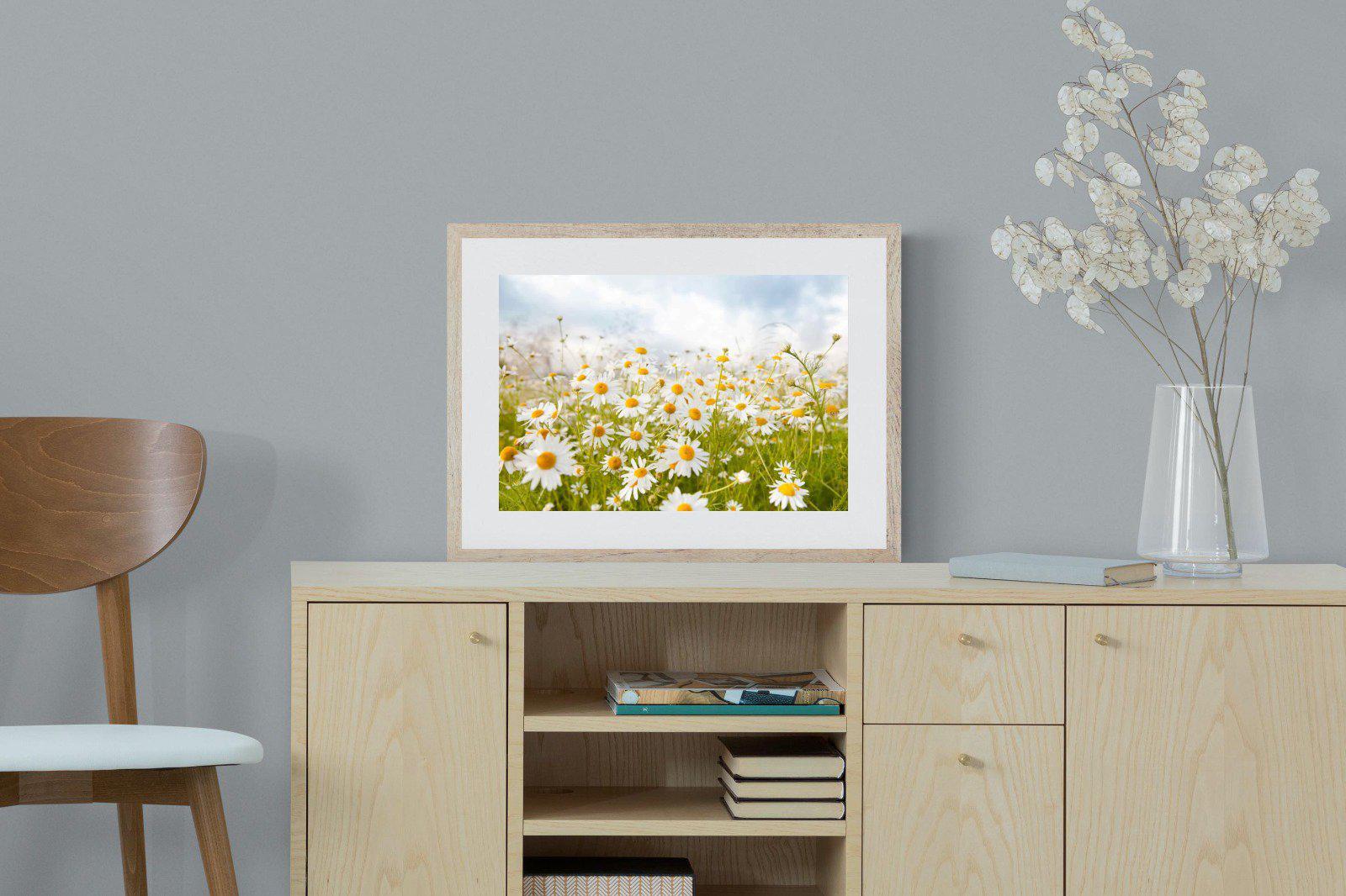Daisies-Wall_Art-60 x 45cm-Framed Print-Wood-Pixalot