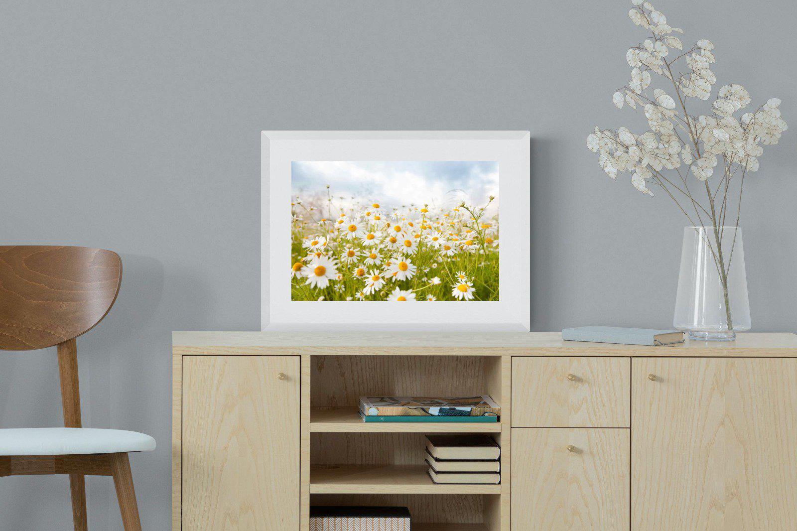 Daisies-Wall_Art-60 x 45cm-Framed Print-White-Pixalot